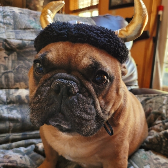 Meet your Posher, S - Picture 2 of 8